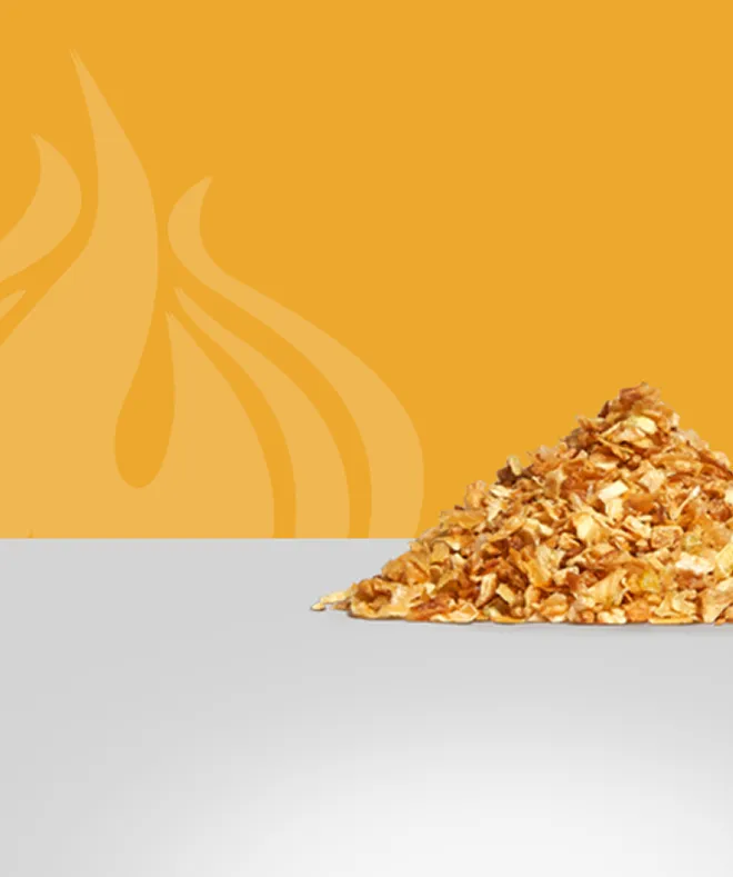Fried onion product